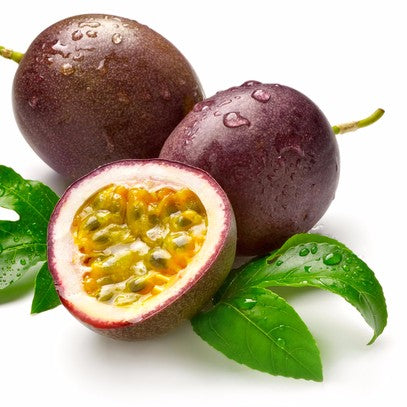 Possum Purple Passion Vine Plant - Passiflora edulis